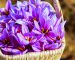 20230714185717_[fpdl.in]_basket-full-freshly-picked-saffron-flowers_347372-856_full